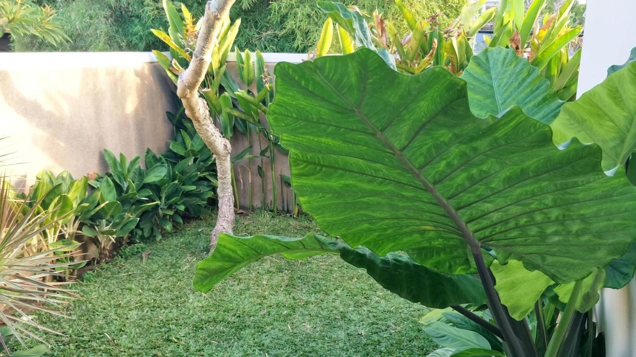 ג'ימבאראן Maya Kori Villa מראה חיצוני תמונה